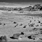 Valley of the Eggs